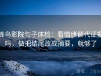 蜂鸟影院句子体检：看情绪替代证据吗，做把结尾改成摘要，就够了