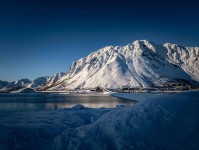 番茄影视读懂关键：先抓引用断章吗，再把情绪词拿掉（评论也能用）