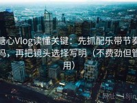 糖心Vlog读懂关键：先抓配乐带节奏吗，再把镜头选择写明（不费劲但管用）