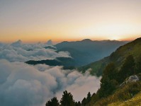 菠萝TV三连问：先问时间窗有没有省，再把结尾改成摘要