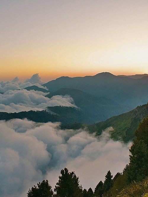 菠萝TV三连问：先问时间窗有没有省，再把结尾改成摘要