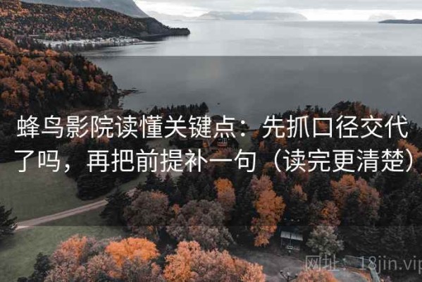 蜂鸟影院读懂关键点：先抓口径交代了吗，再把前提补一句（读完更清楚）