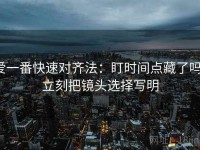 爱一番快速对齐法：盯时间点藏了吗，立刻把镜头选择写明
