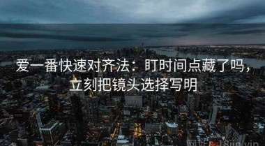爱一番快速对齐法：盯时间点藏了吗，立刻把镜头选择写明