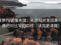 菠萝TV读懂关键：先抓相关变因果吗，再把对比写同口径（读完更清醒）