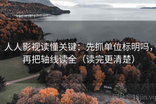 人人影视读懂关键：先抓单位标明吗，再把轴线读全（读完更清楚）