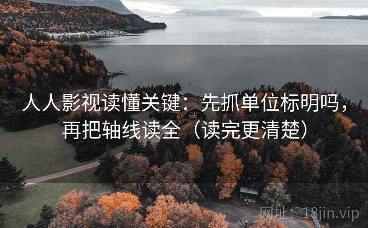 人人影视读懂关键：先抓单位标明吗，再把轴线读全（读完更清楚）