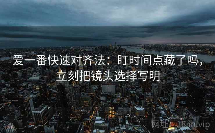 爱一番快速对齐法：盯时间点藏了吗，立刻把镜头选择写明
